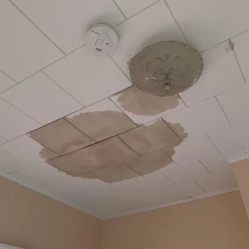 Ceiling Water Damage Repair in Bethlehem Village, CT
