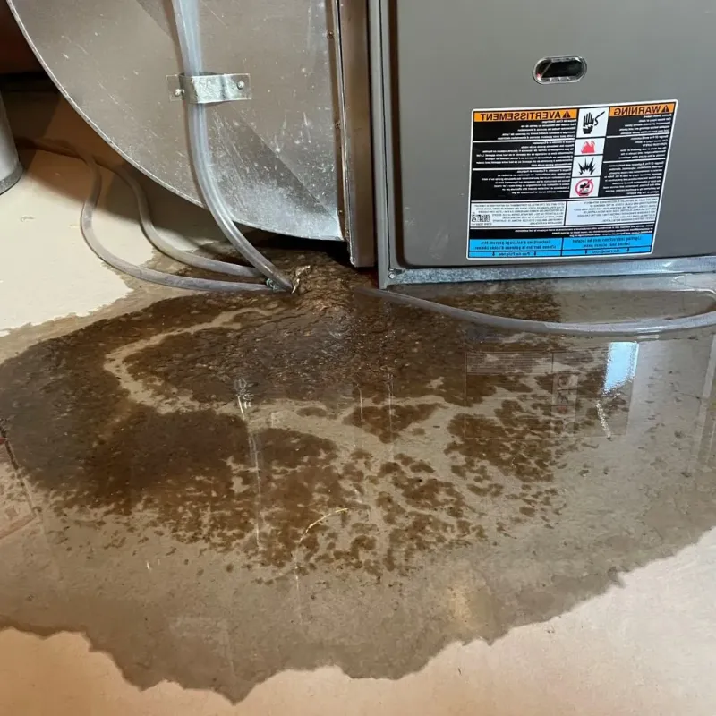 Pipe Burst and Leak Restoration in Bethlehem Village, CT