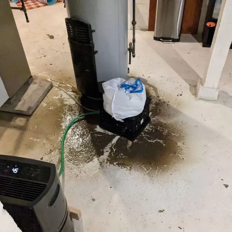 Sewage Backup Cleanup Service in Bethlehem Village, CT